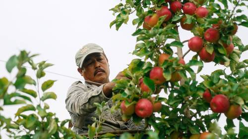 From Harm to Hope: Reimagining Agriculture—and Building Community Power