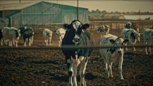 Yakima Herald Republic: New documentary on ag pollution in Yakima Valley draws industry criticism by Questin Inghram